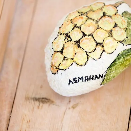 Asma Ξενοδοχείο 2*