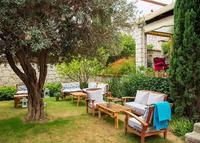 Asma 2* アラカティ